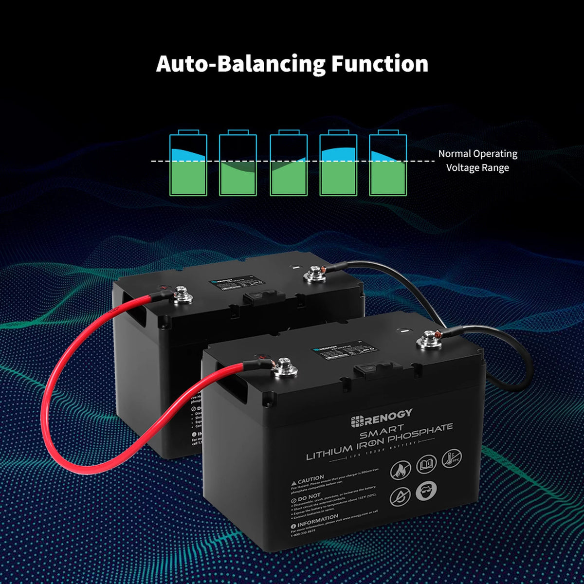 12V 100Ah LiFePO4 Deep Cycle Lithium Battery V849790