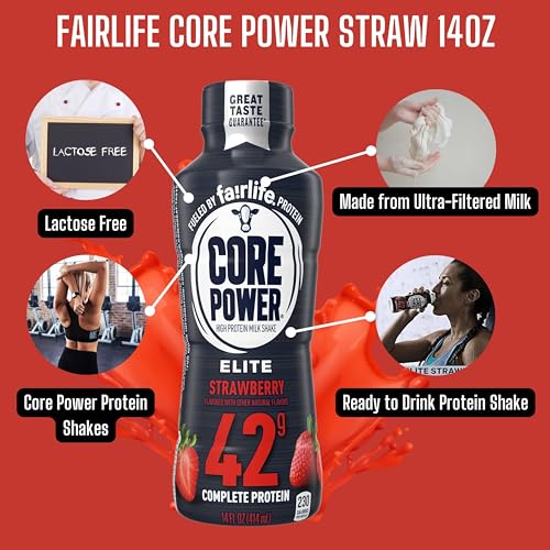 Chocolate Protein Shake 14 Fl Oz Pack of 12 C152570