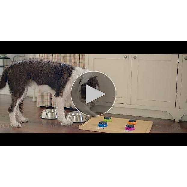 Real Beef Pea & Brown Rice Dry Dog Food Z910262