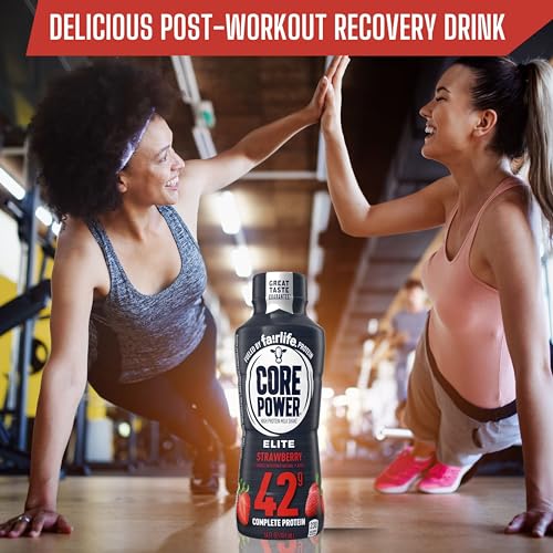 Chocolate Protein Shake 14 Fl Oz Pack of 12 C152570