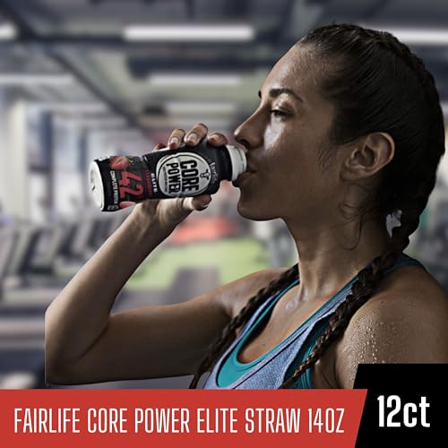 Chocolate Protein Shake 14 Fl Oz Pack of 12 C152570