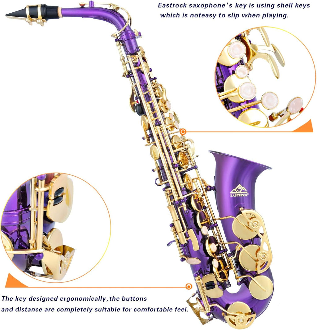 Purple/Golden Alto Saxophone R959179