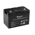 12V 100Ah LiFePO4 Deep Cycle Lithium Battery V849790