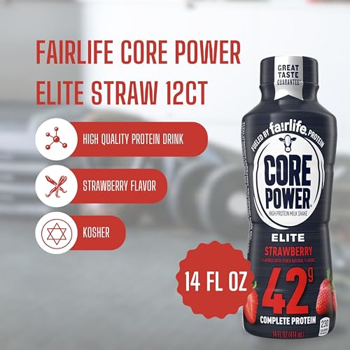 Chocolate Protein Shake 14 Fl Oz Pack of 12 C152570