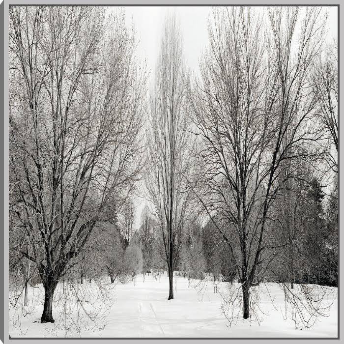 Canvas Art I14995