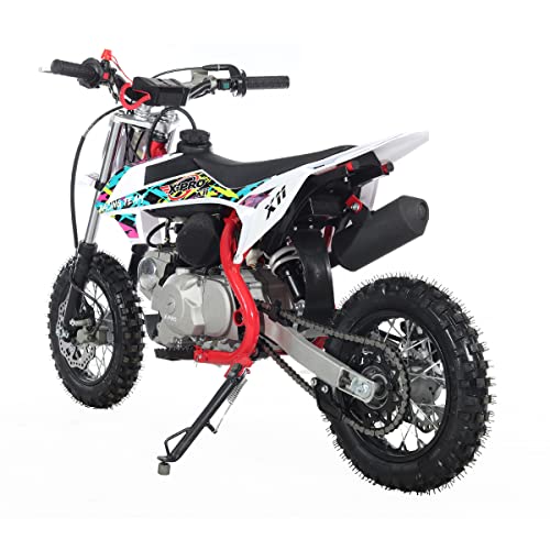 110cc Dirt Bike with Automatic Transmission, Electric Start, 10"/10" Tires (Black) P532