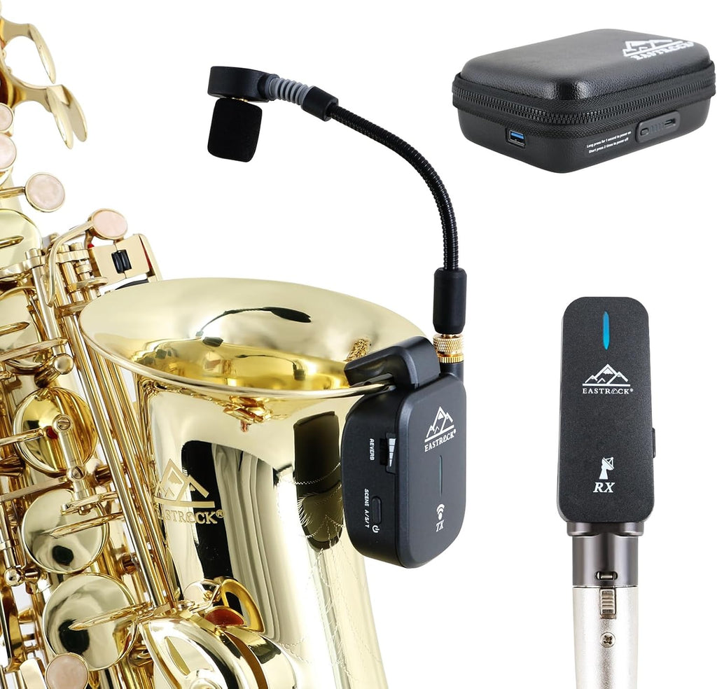 Purple/Golden Alto Saxophone R959179