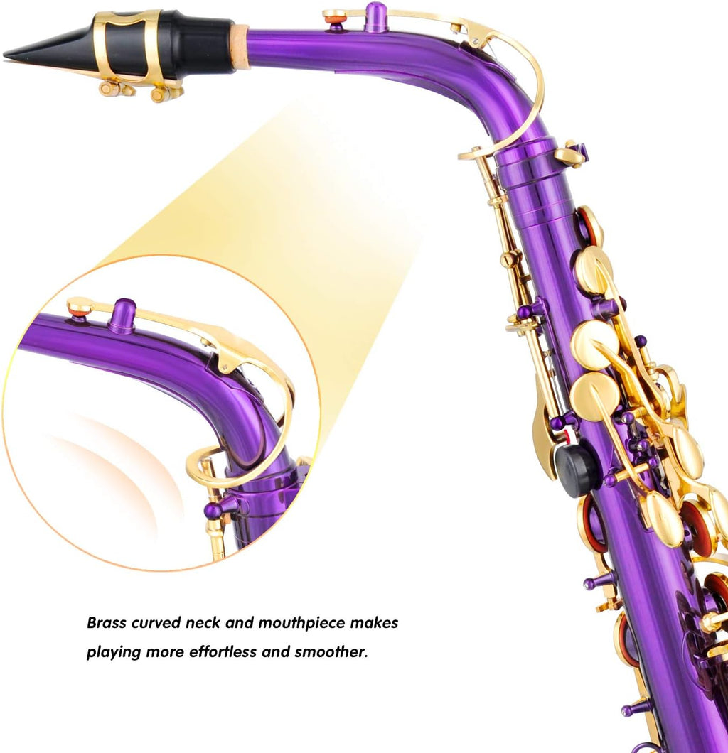 Purple/Golden Alto Saxophone R959179