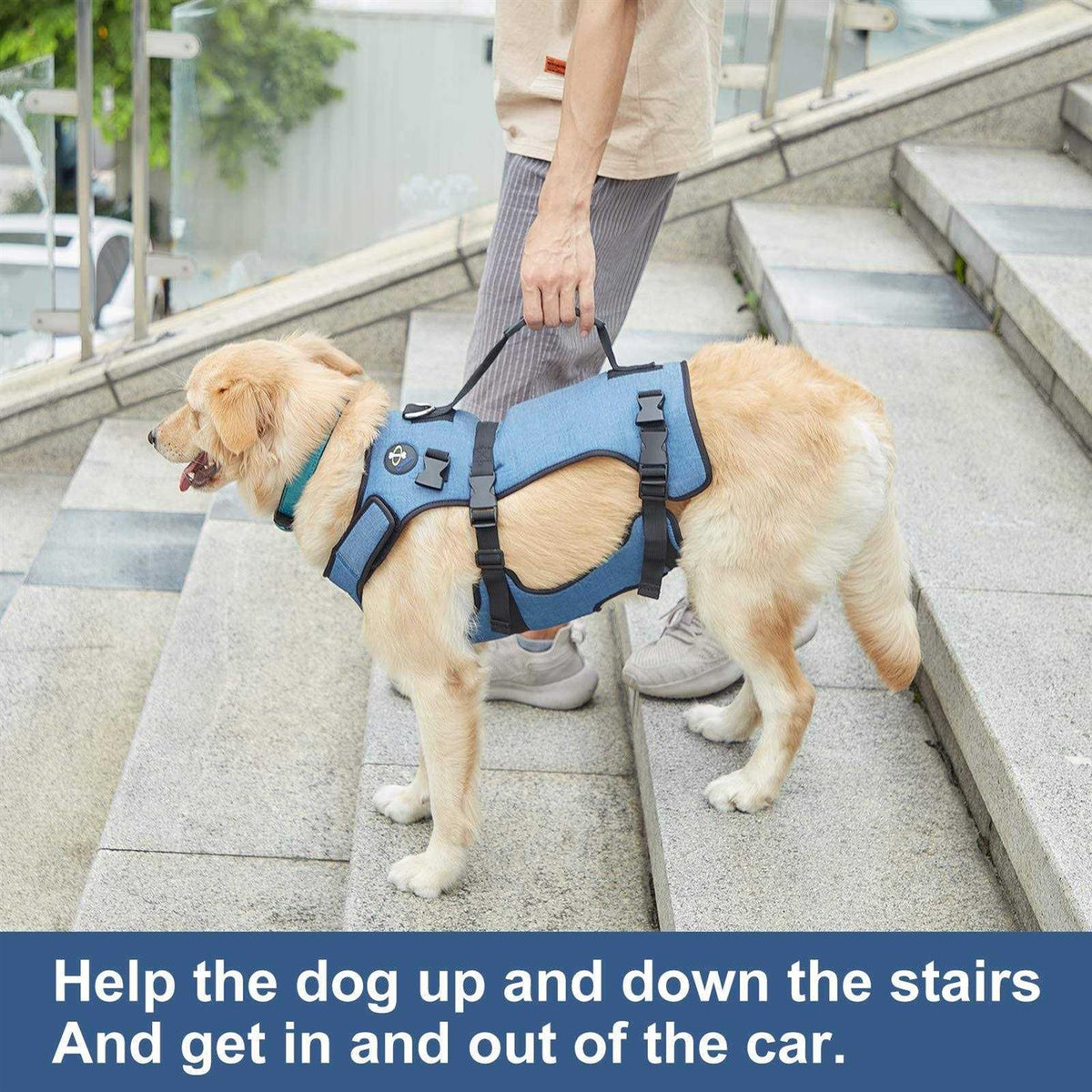Adjustable Breathable Dog Lift Harness R80870