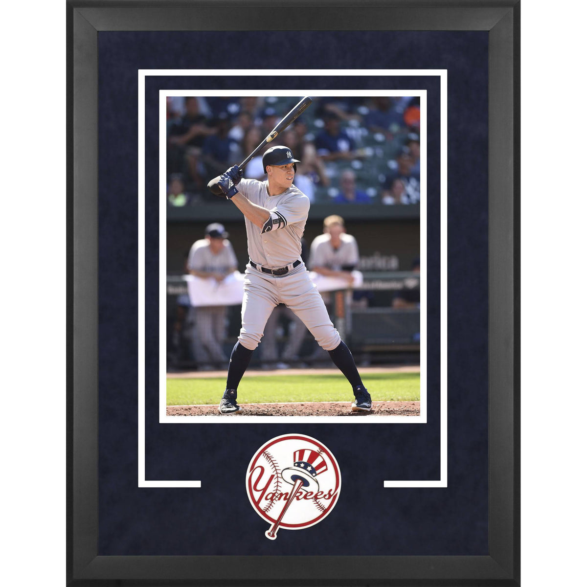 Deluxe Vertical Photograph Frame Q98190