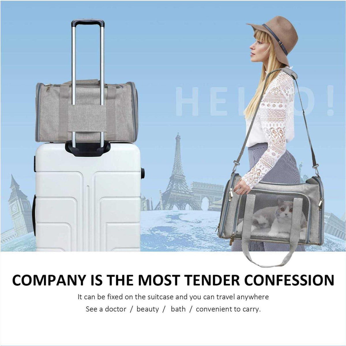 Pet Carrier for Cats, Dogs and Puppies P968