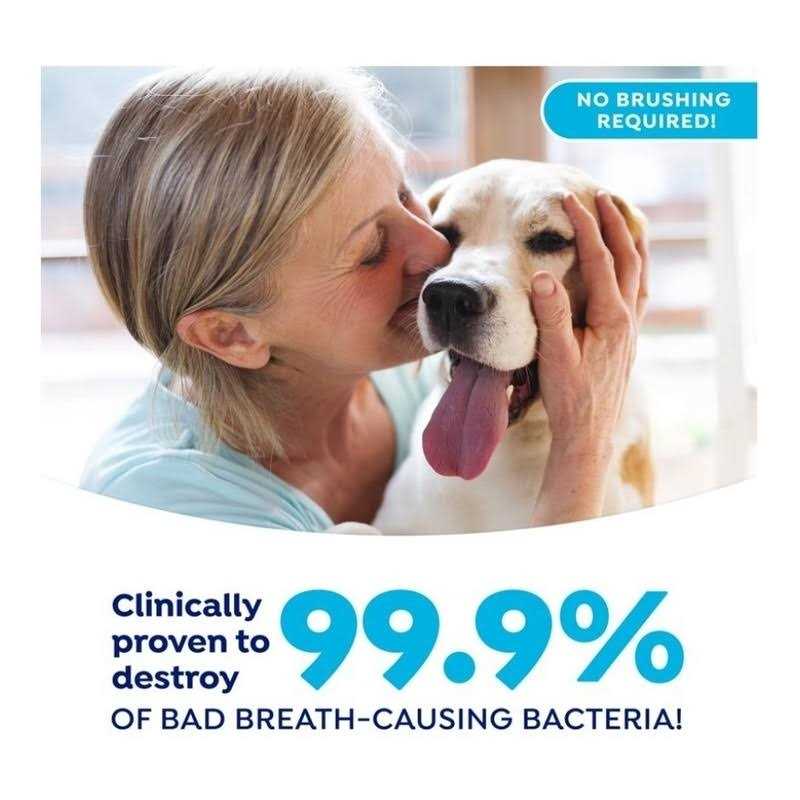 Fresh Dental Gel Toothpaste for Dogs & Cats T7074