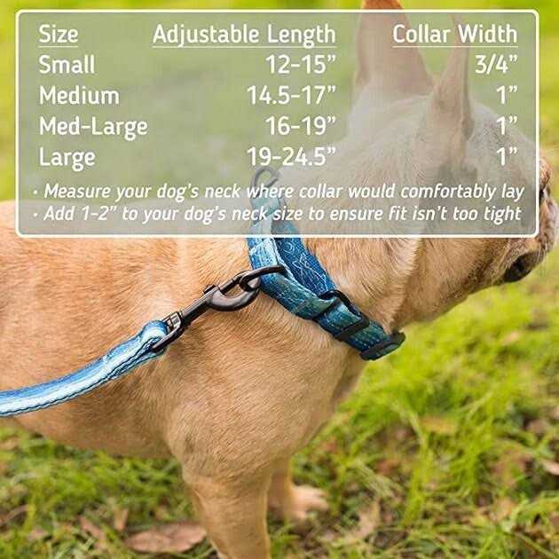 Patterned Fabric Martingale Dog Collar R552332