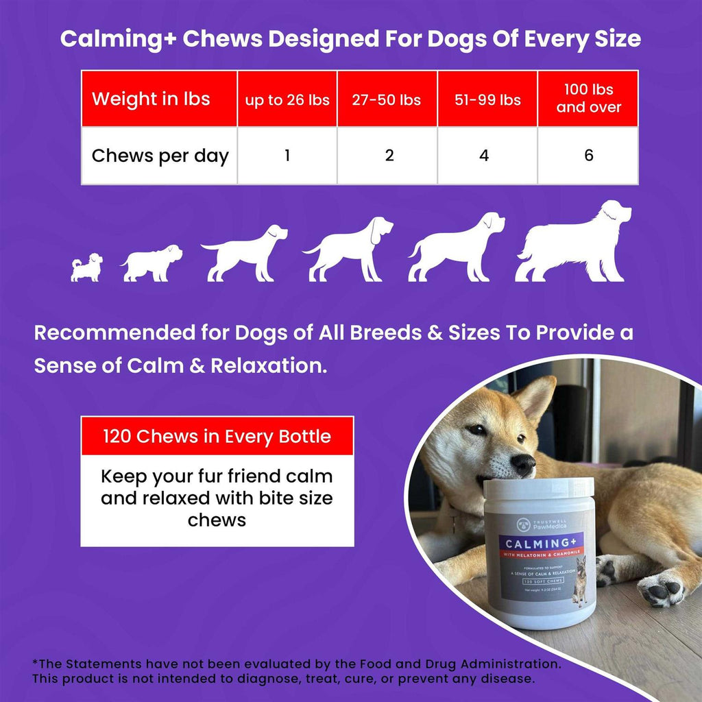 Calming Chews for Dogs Dog Sleep Supplement F604