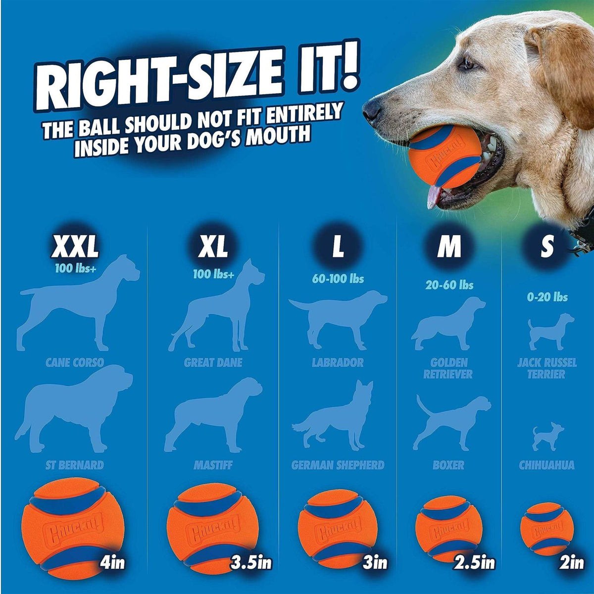Fetch & Fold Launcher O8851