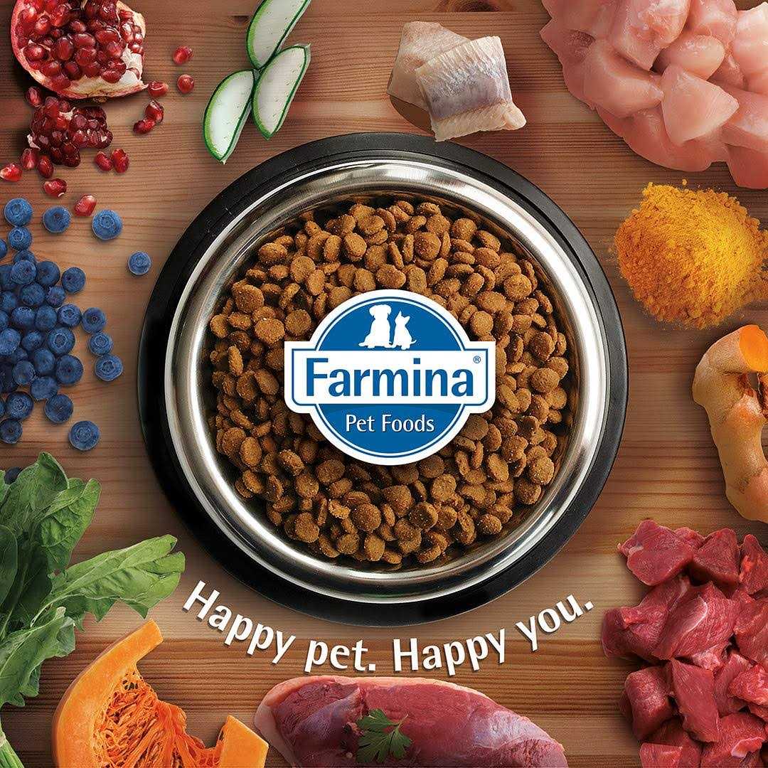 Grain Free Lamb & Blueberry Dry Cat Food L253