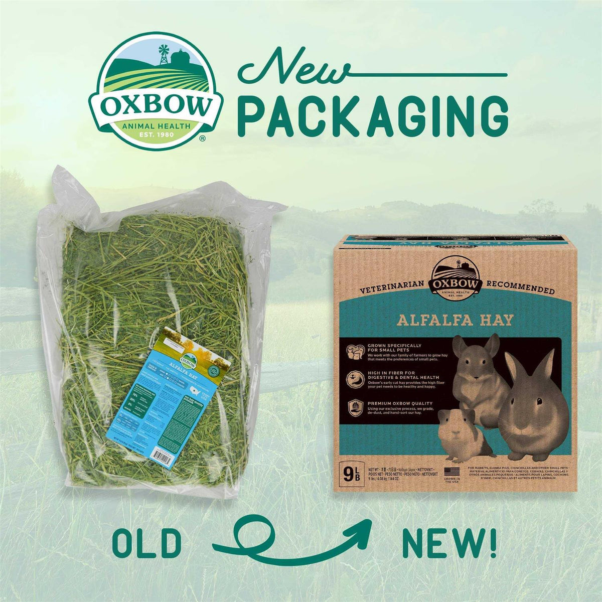 Alfalfa Hay Pet Supplies Q4695