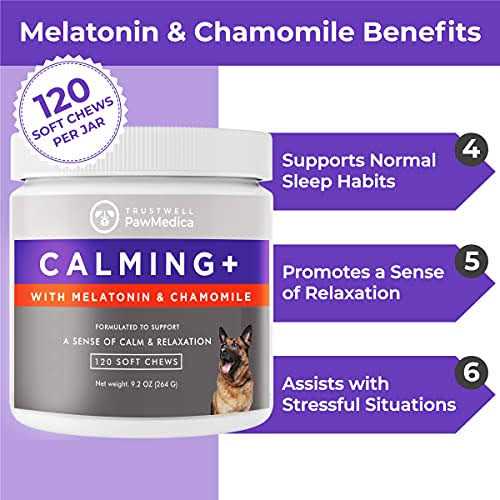 Calming Chews for Dogs Dog Sleep Supplement F604