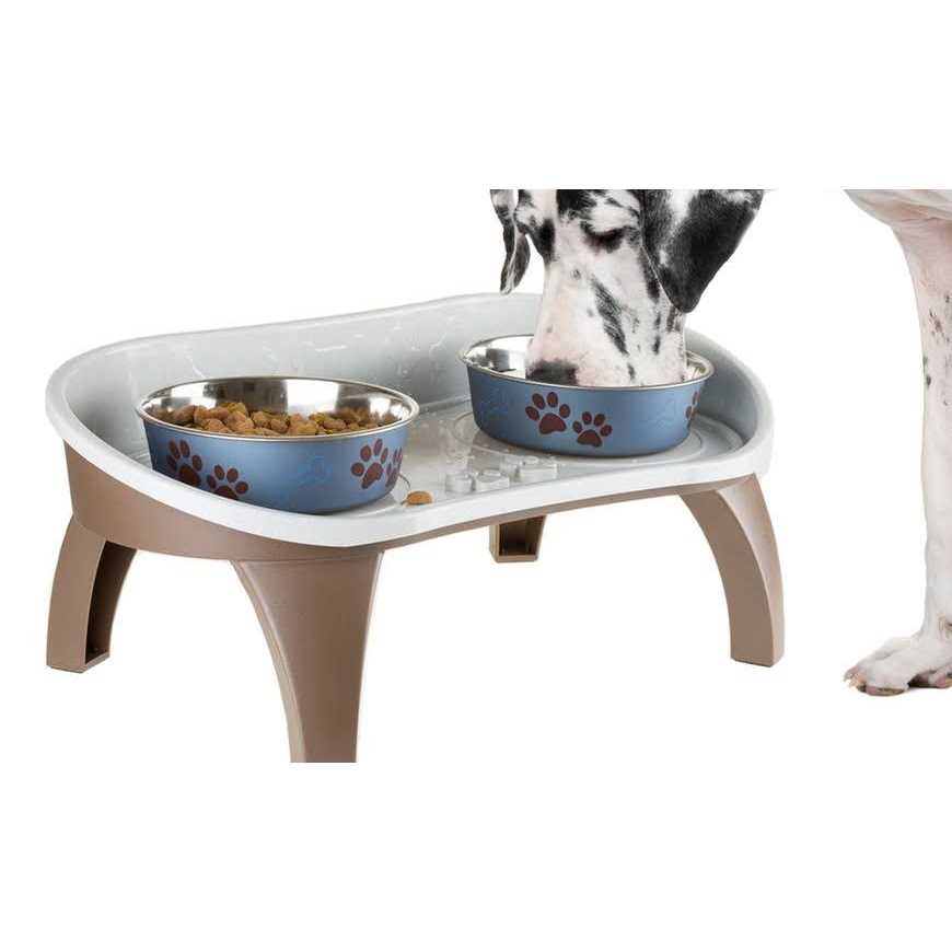 Elevated Pet Feeding Tray with Splash Guard Y596