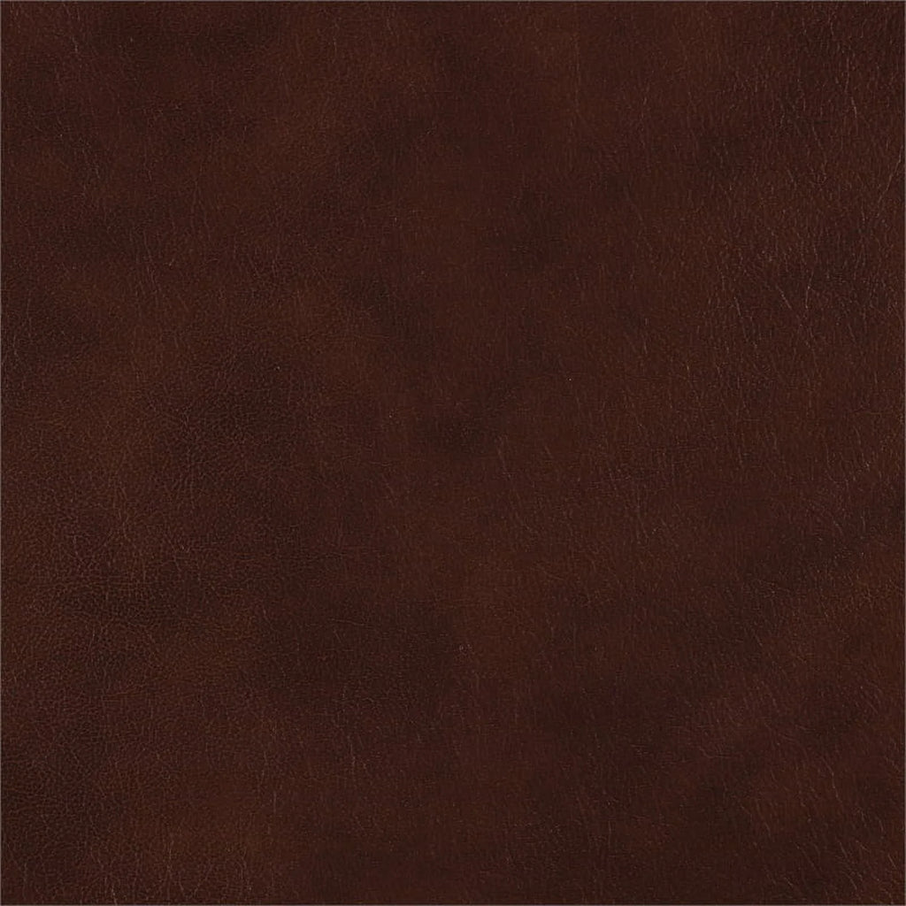 Brown Leather Match Double Reclining Love Seat Y5636