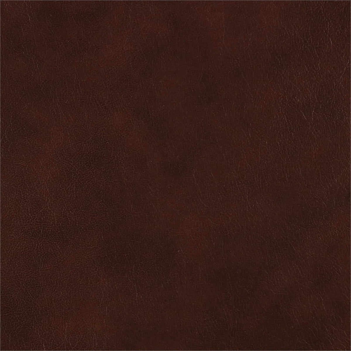 Brown Leather Match Double Reclining Love Seat Y5636