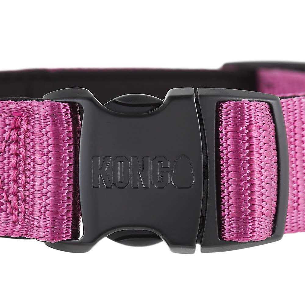 Dog Collar C42751