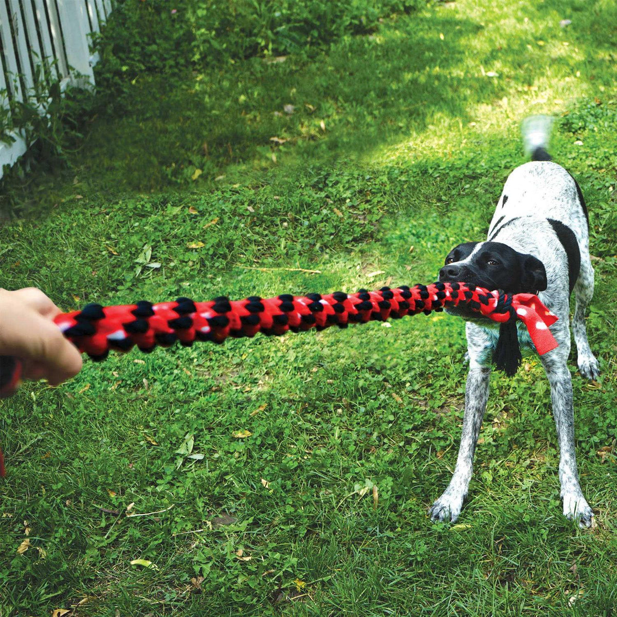 Rope Dog Toy F58258