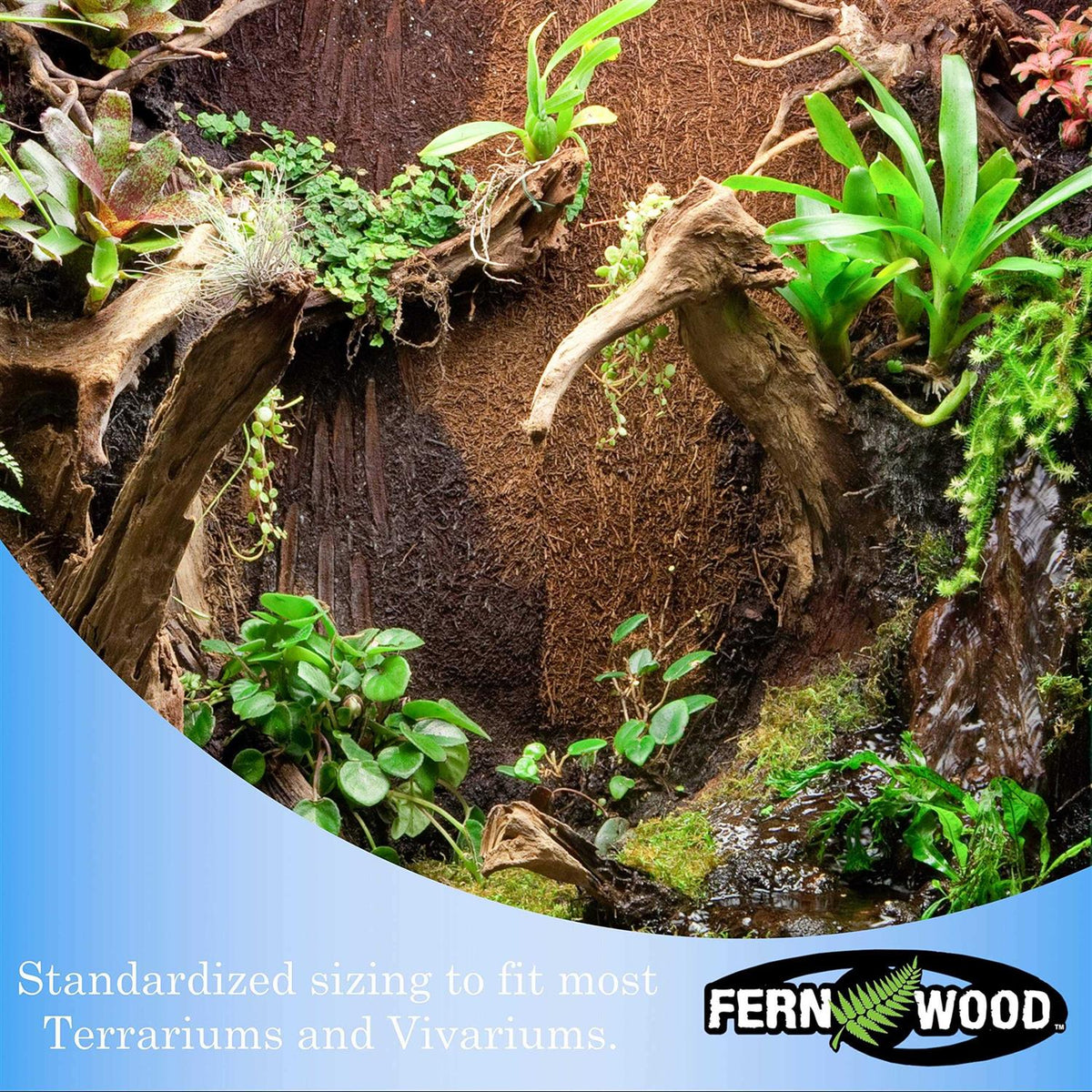 Fern Wood Tropical Background Panel Twin Pack A30207