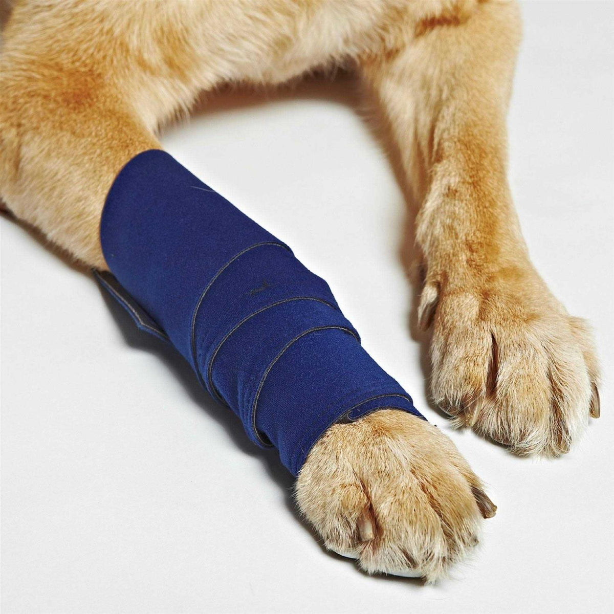 Dog Wraps C641527