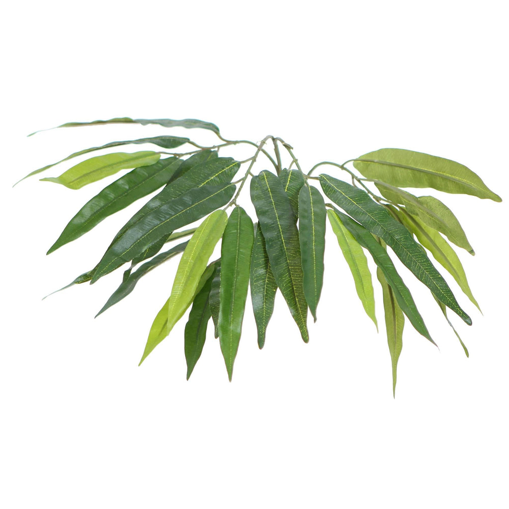 Green Mango Executive D1627