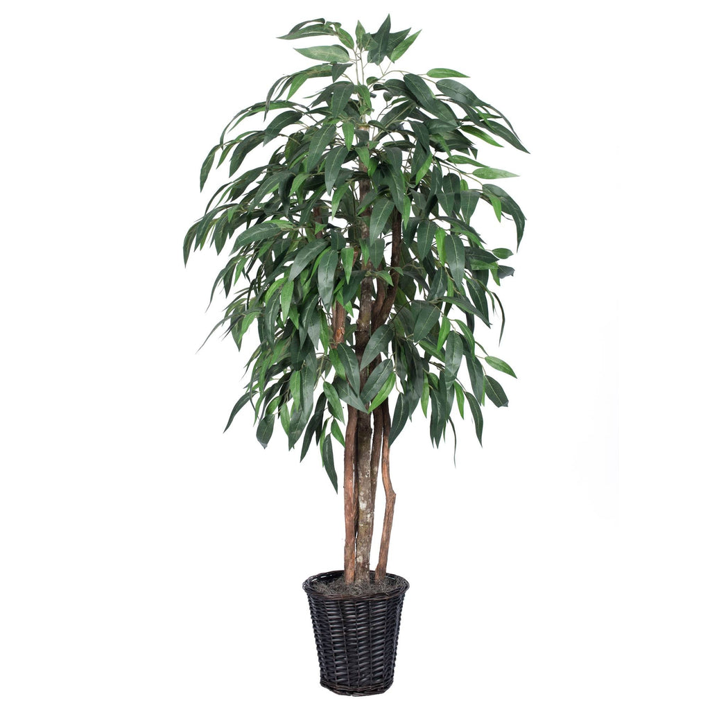 Green Mango Executive D1627