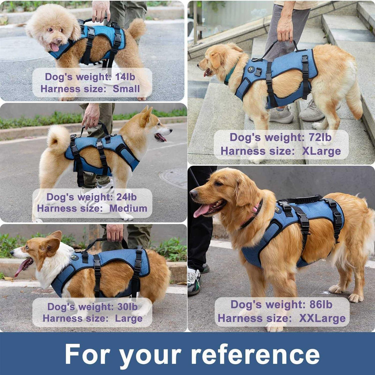 Adjustable Breathable Dog Lift Harness R80870