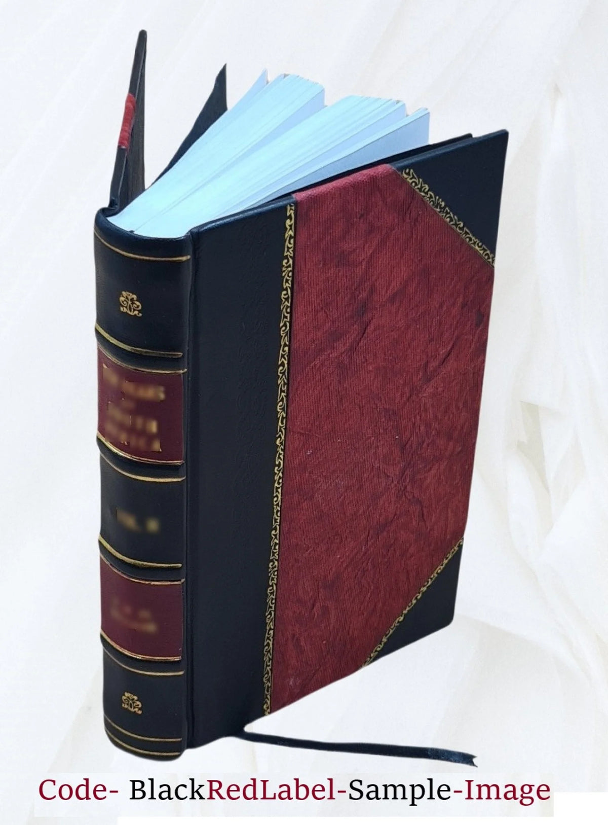 Leather Bound A857