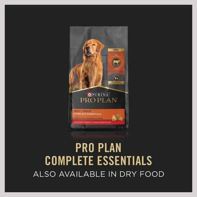 Beef Entree Wet Dog Food I544068